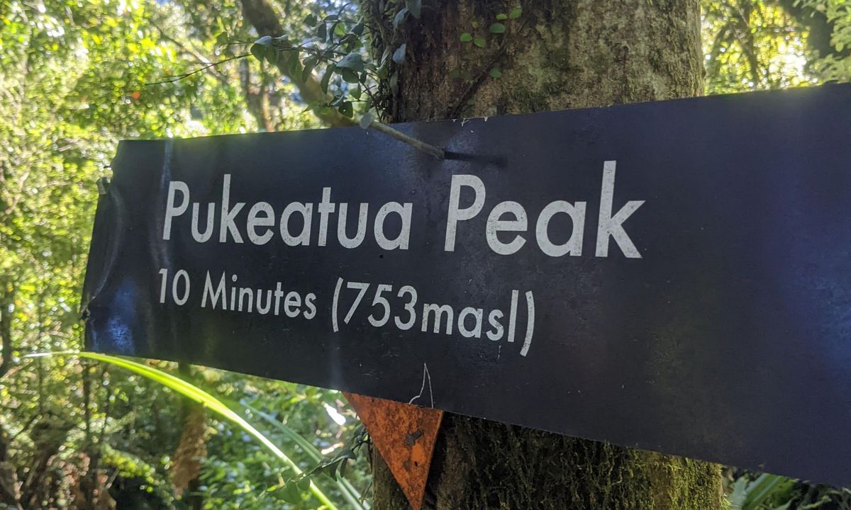 Pukeatua