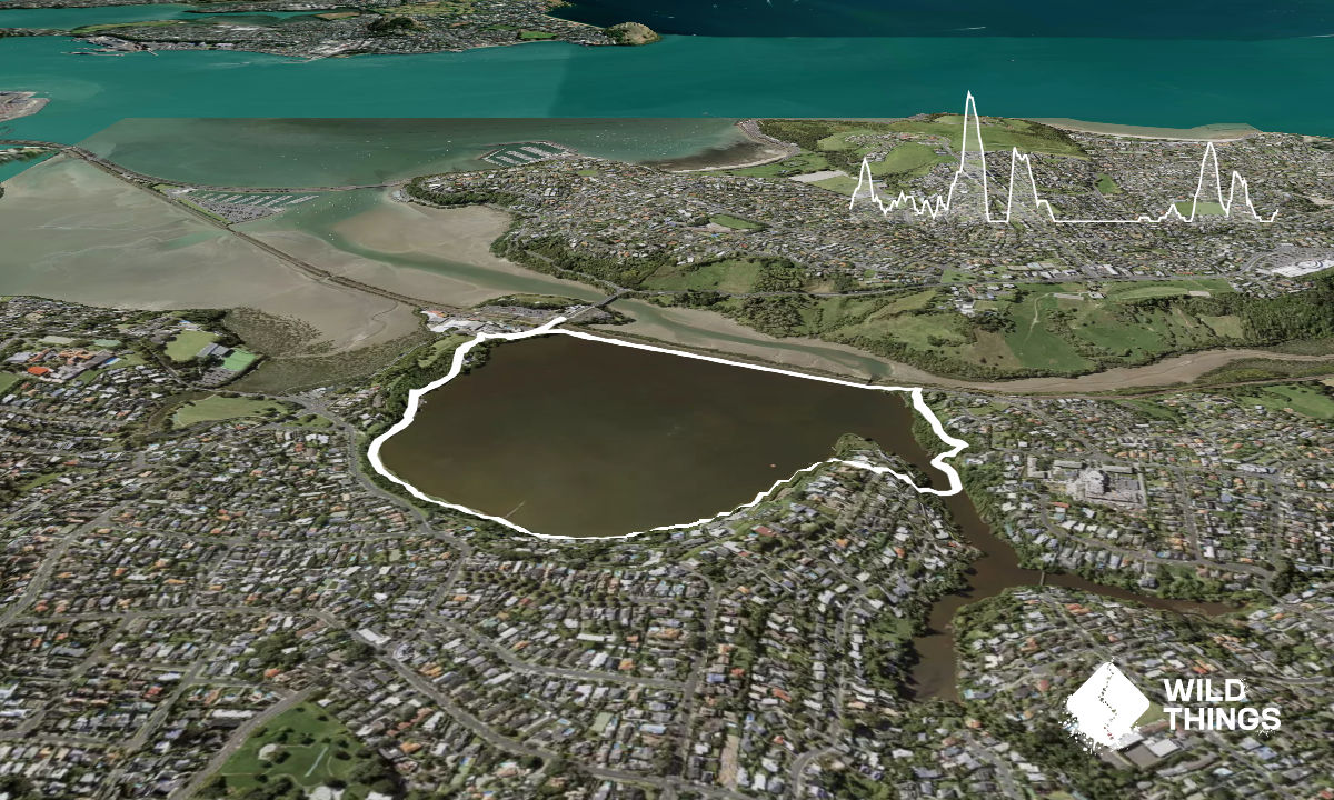 Ōrākei Basin Loop, Auckland