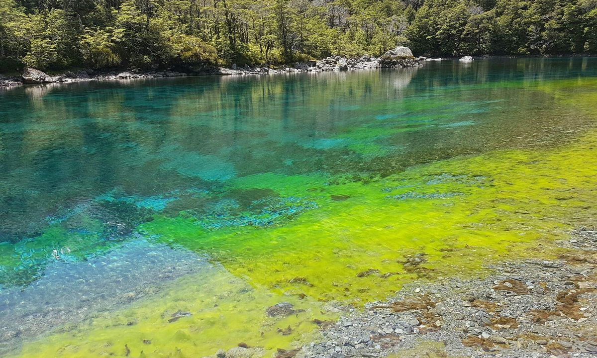 Blue Lake - clearest water on earth, Tasman