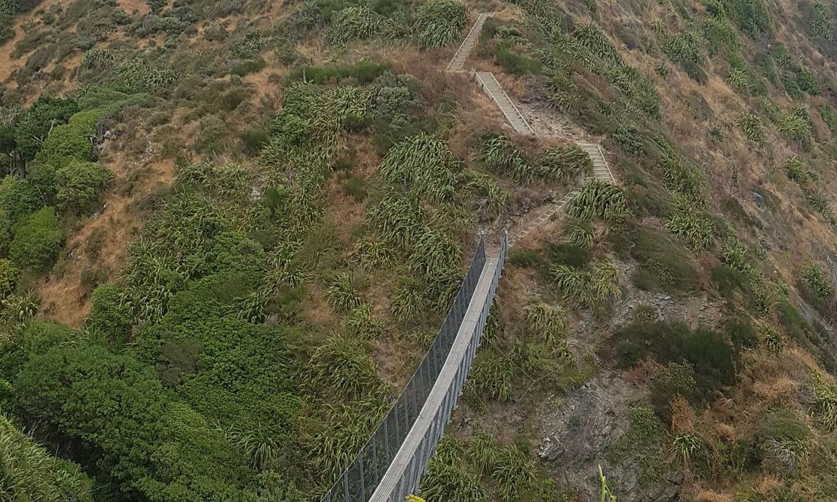 Escarpment Track, Wellington