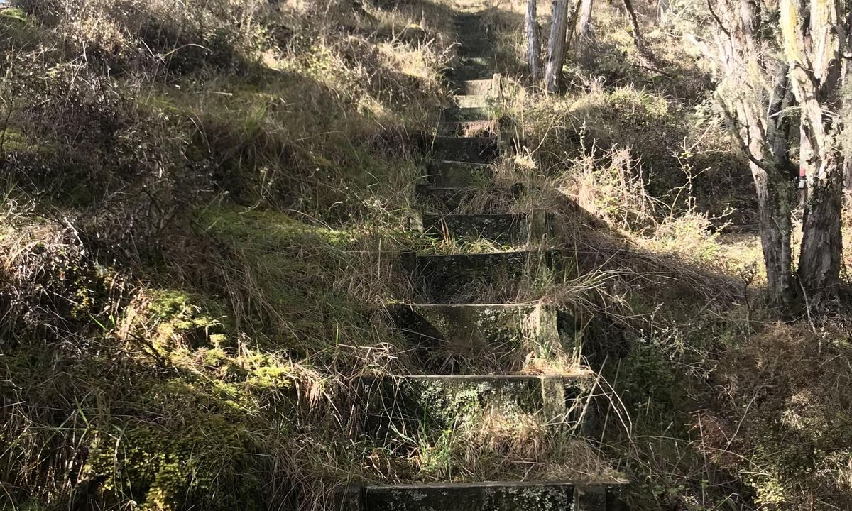 Atene Skyline Track, Manawatu - Wanganui