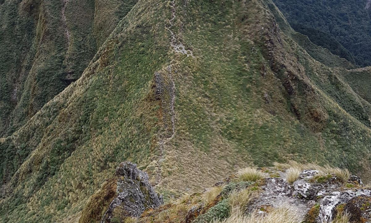 Tararua Traverse, Manawatu - Wanganui