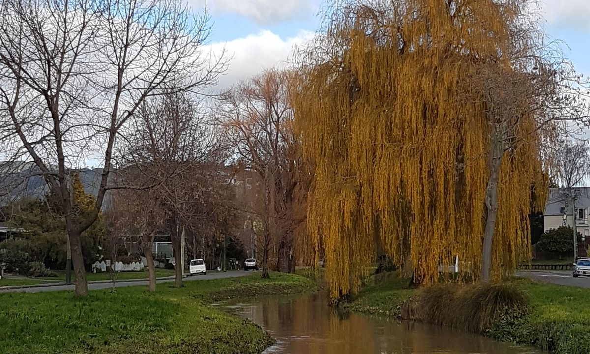 Heathcote River Run - Opawa to Hoon Hay, Canterbury