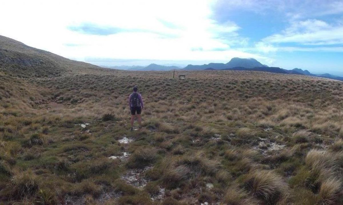 Quest for Mt Richmond, Marlborough Trail Directory Wild Things