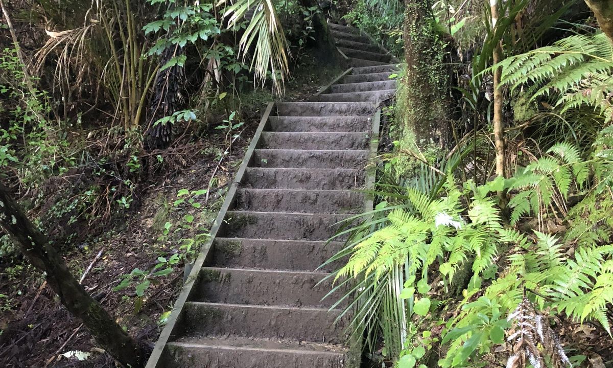 Clevedon Reserve Stairway to Heaven, Auckland