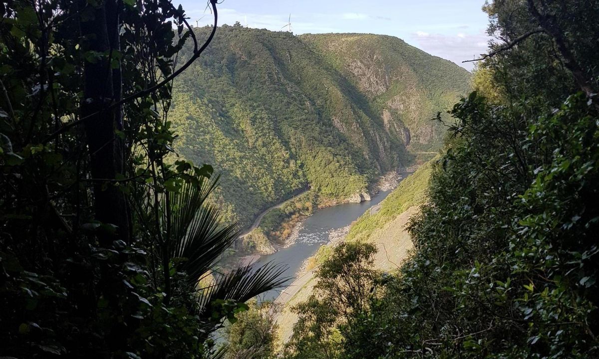 Manawatu Gorge Track, Manawatu - Wanganui