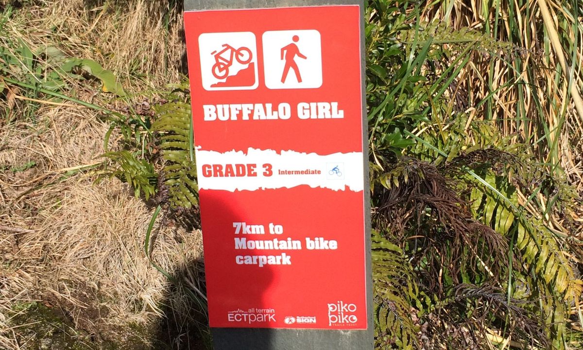 Buffalo Girl Trail - Tect Park, Bay of Plenty