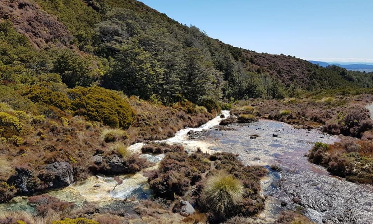 Whakapapaiti Loop, Manawatu - Wanganui
