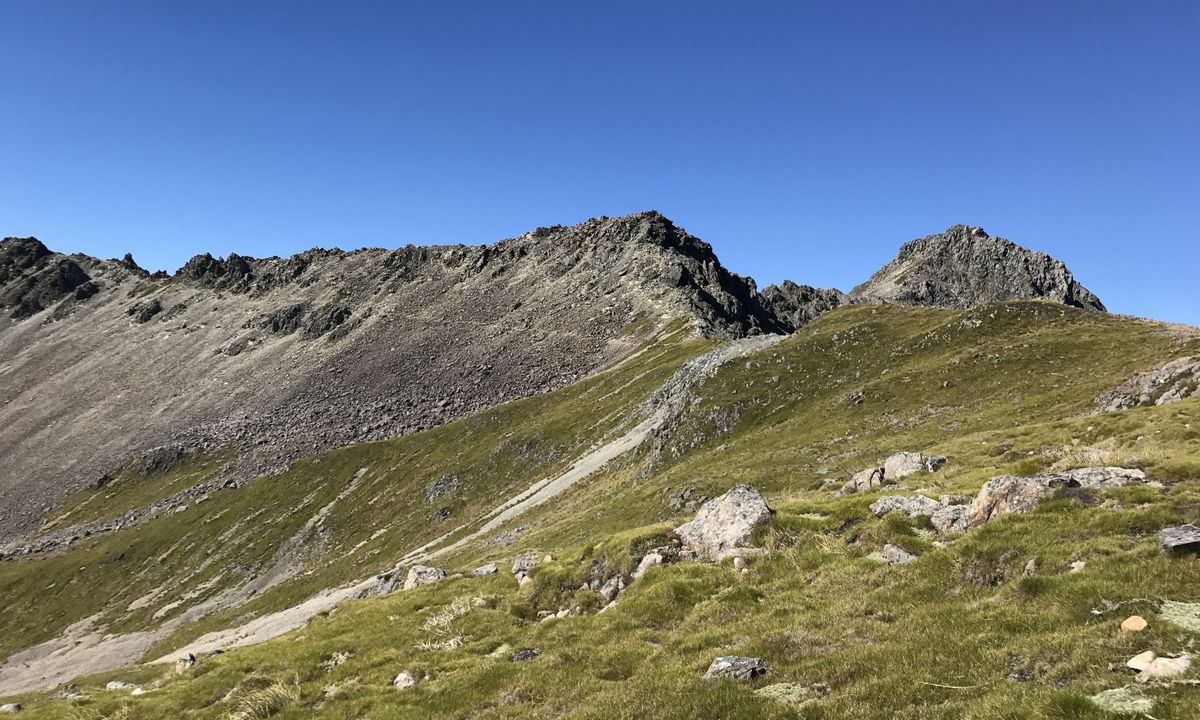 Speargrass - Robert Ridge, Tasman