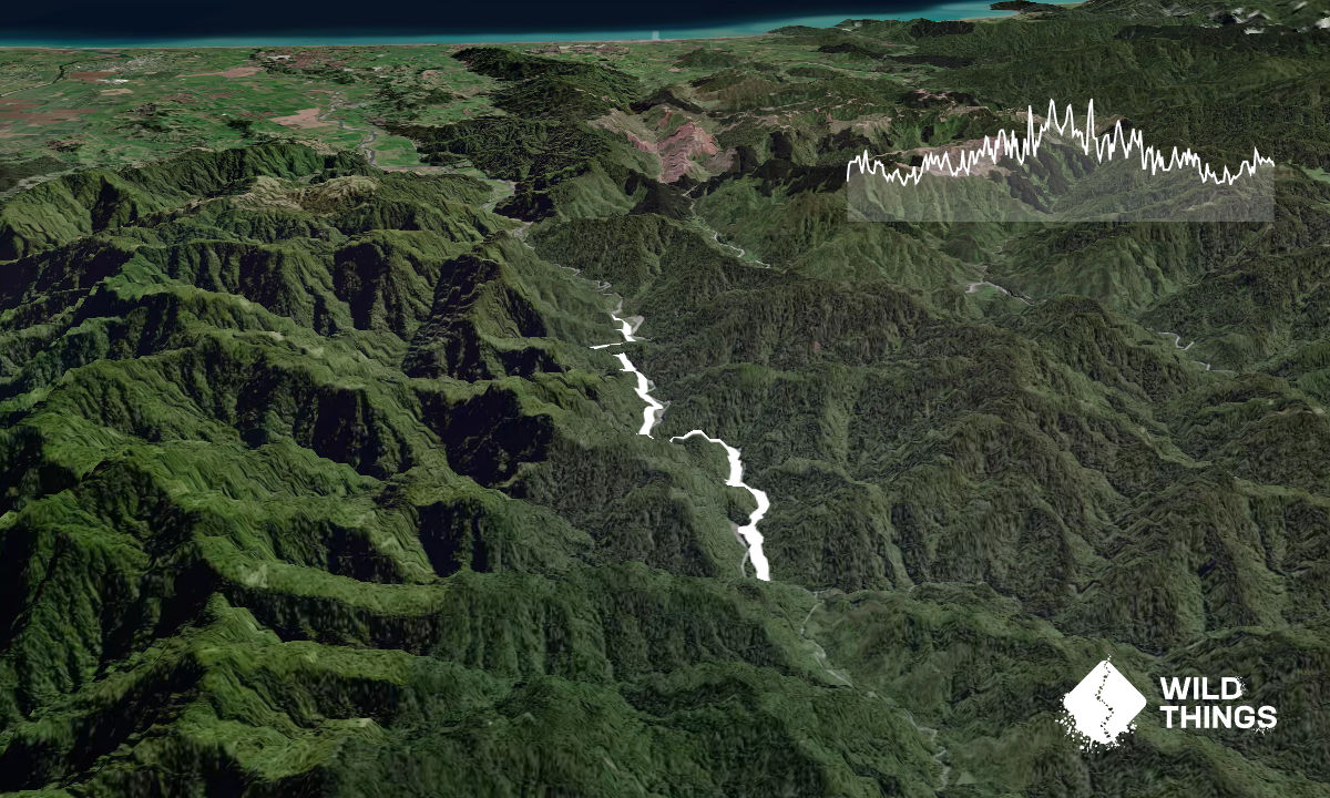 Te Waiti Track, Bay of Plenty