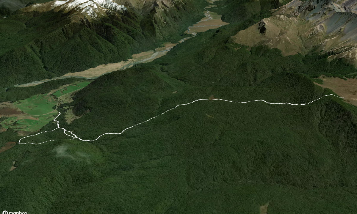 Boyd Creek Tops & Nature Walk, Southland
