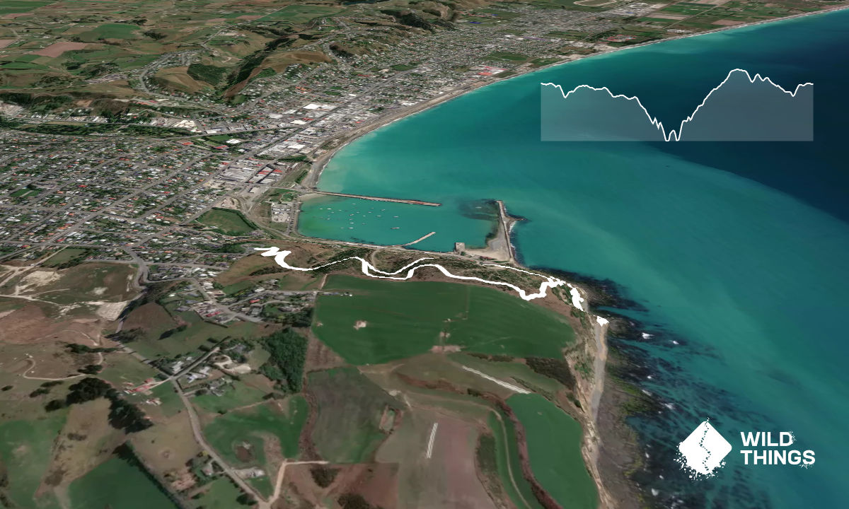 Caped Crusader, Otago