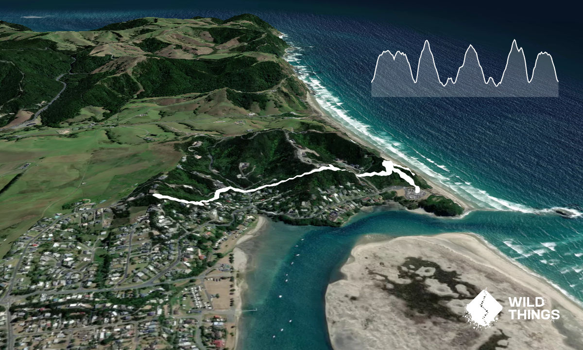 Goldschmidt Panoramic Trail, Northland