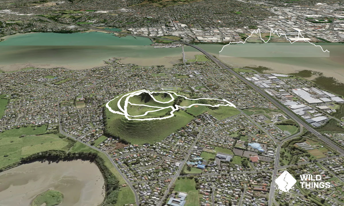 Mangere Mountain Crater loop, Auckland