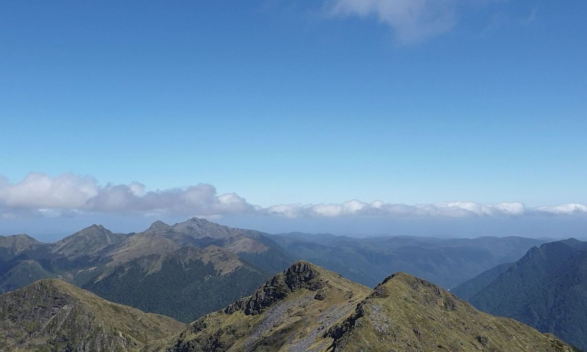 Mt Haast views of the world!, West Coast