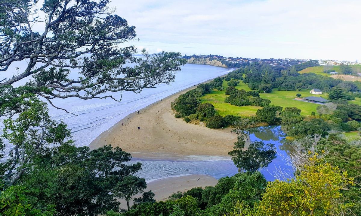 Long Bay Beach, Bush & Cliffs, Auckland