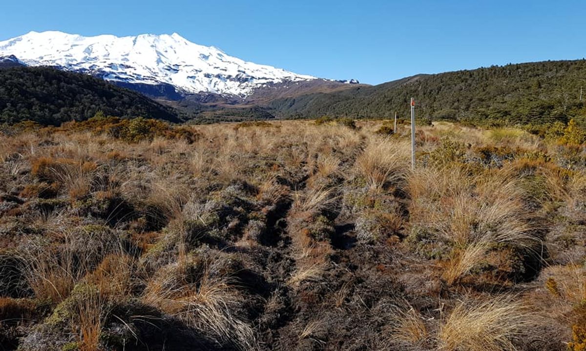 Whakapapaiti Loop, Manawatu - Wanganui