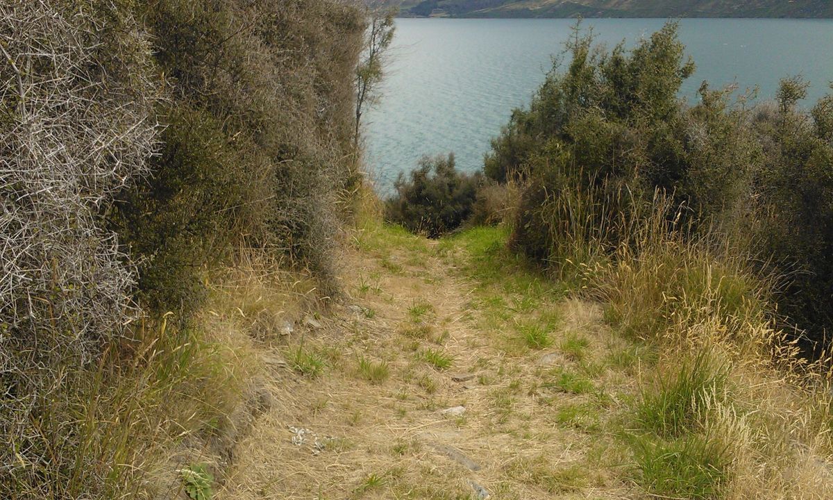Jacks Point to Queenstown Trail, Otago