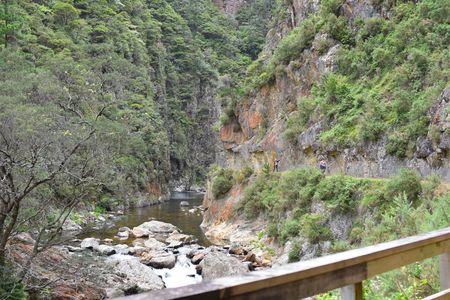 Karangahake Tunnel Circuit