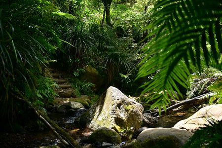 Karangahake Marathon