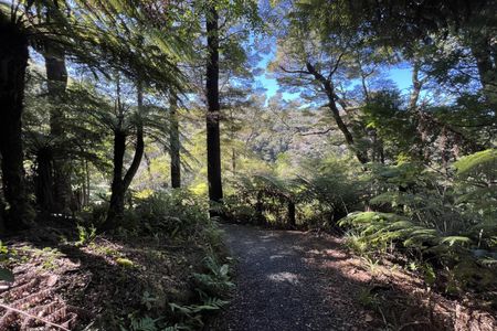 Butterfly Creek Loop