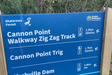 Cannon Point Trig via Zig Zag