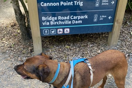 Cannon Point Trig via Zig Zag