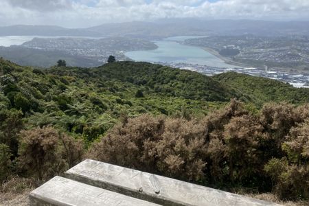 Colonial Knob Ultimate Stair Workout