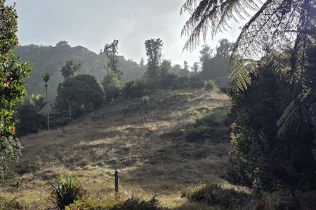 Ed Hillary Hope Reserve Loop