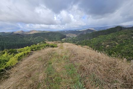 Ed Hillary Hope Reserve Loop