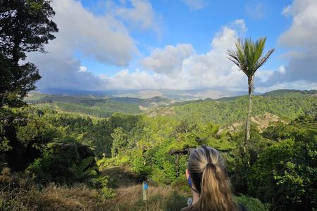 Ed Hillary Hope Reserve Loop