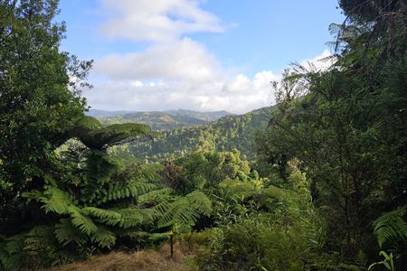 Ed Hillary Hope Reserve Loop
