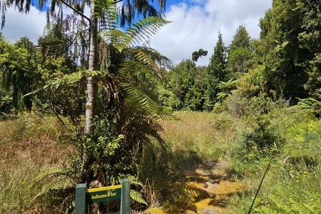 Fenian Caves & Adams Hut
