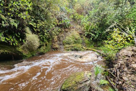 Greengauge Loop