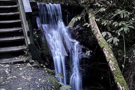 Hilly Hakarimata Loop