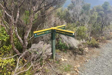 Hooper Loop - Mt Holdsworth