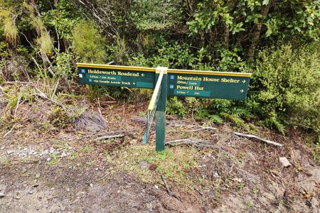 Hooper Loop - Mt Holdsworth