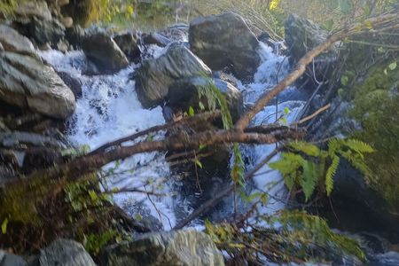 Hot Springing to Cedar Flats