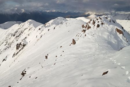 In and out of the Avoca