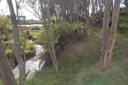 Kaitoke, Rangitahi and Te Hutewai