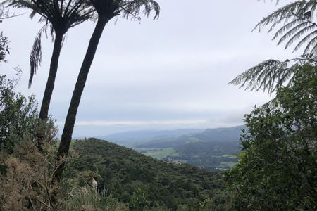 Karangahake Mountain Run