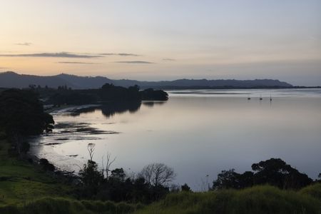 Kauri Point Kaper