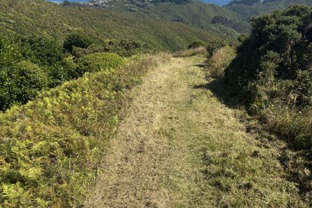 Korokoro Belmont trig loop via Bridleway