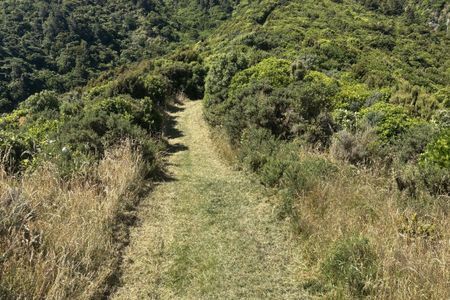 Korokoro Belmont trig loop via Bridleway