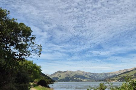 Little River Chuggalong