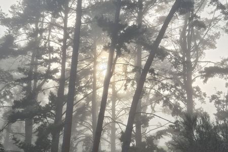 Maraetai & Mangakino 