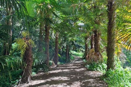 Morrinsville Gully & River Run