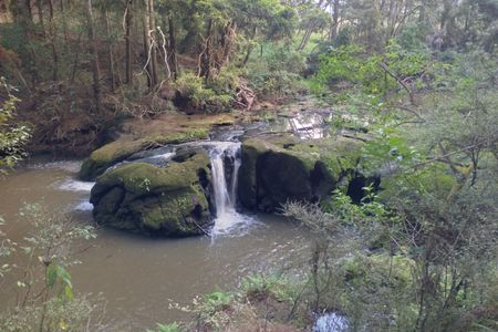 Morrinsville Gully & River Run
