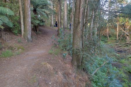Morrinsville Gully & River Run