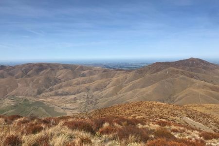 Mount Pukanui and Mount Tripp loop